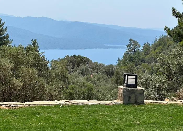 Berceste Apartamento *